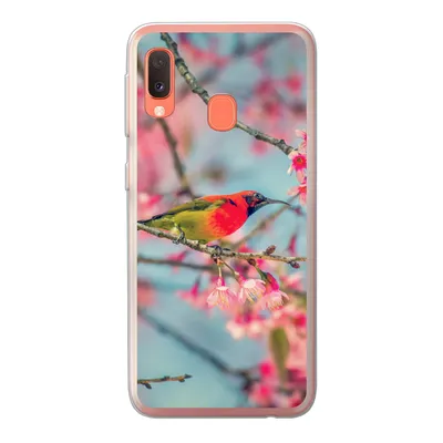 Produktbild von MuchoWow® Handyhülle Schutzhülle Hülle für Samsung Galaxy A20e Vogel - Sakura - Farben Silikon Softcase Handy Hülle - Abdeckung