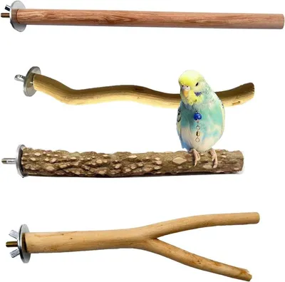 Holz Vogelstangen Set von 4 für Wellensittiche, Kanarienvögel und Nymphensittiche