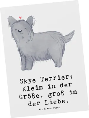 Produktbild von Mr. & Mrs. Panda Postkarte Skye Terrier Liebe - Weiß - Geschenk, treu, Ansichtskarten, Sprüche für Hundeliebhaber, loyal, Grußkarte, Postkarten, schottische Hunderasse