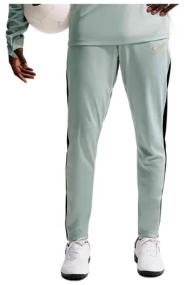 Obrázek produktu pro Tepláky Nike HJ3776-077 pro Pánské