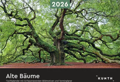 Produktbild von Alte Bäume - KUNTH Tischkalender 2026
