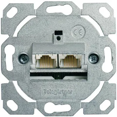 Immagine prodotto di Telegärtner 100022944 Presa 2 x RJ-45 Zinco