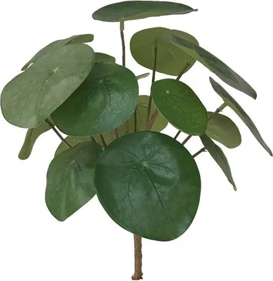 Produktbild von artplants.de Künstliche Sukkulente Glückstaler Sybil auf Steckstab, grün, 20cm - Kunstpflanze Pilea
