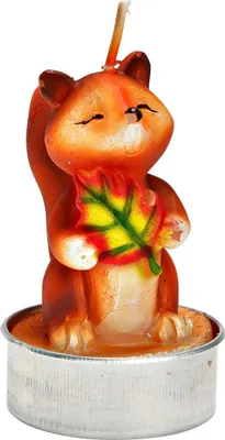 Image de Bougies chauffe-plat Renard en cire Set de 6