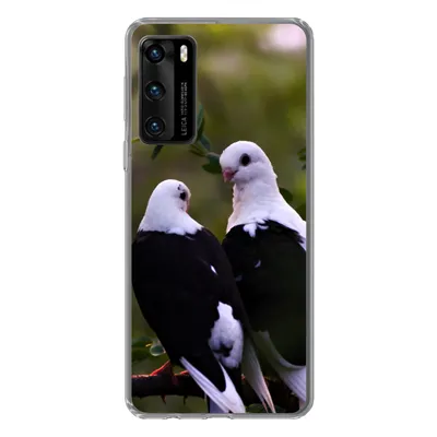 Produktbild von MuchoWow® Handyhülle Schutzhülle Hülle für Huawei P40 Vögel - Zweig - Blätter Silikon Softcase Handy Hülle - Handytasche
