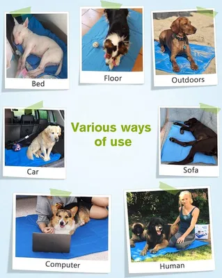 Kühlmatte für Hunde und Katzen, Ansicht 2 von 9