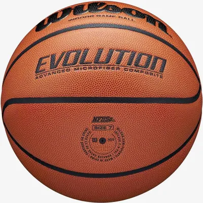 Image de Ballon de Basketball Wilson Evolution