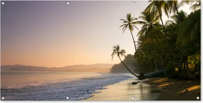 Produktbild von MuchoWow® 160x80 cm Outdoor-Poster Gartendeko Sichtschutz Garten Poster für den Garten  Strand - Meer - Palme