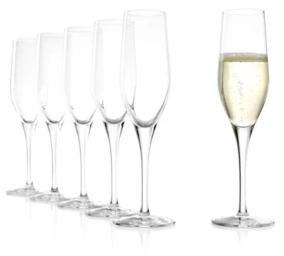Champagnergläser Exquisit 6er-Set, 175 ml, Kristall, spülmaschinenfest