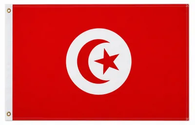 Produktbild von Flagge Tunesien 250 x 150cm, Stoffgewicht ca. 100 g/m² -Fahne- Hissfahne- Hissflagge - Sturmflagge -zum hissen - keine billige Chinaqualität!