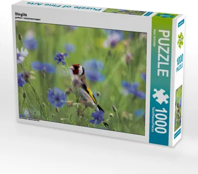 Produktbild von CALVENDO Puzzle Stieglitz | 1000 Teile Lege-Größe 64x48cm Foto-Puzzle für glückliche Stunden