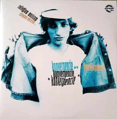 Obrázok produktu pre Collegium Musicum - Konvergencie (Reissue) (180 g) (2 LP)