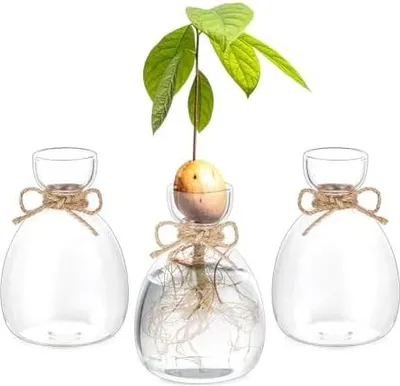 Produktbild von Hewory Propagation Station Geschenke für Frauen: 3 Avocado Glas Pflanzen Terrarium für Deko Wohnzimmer - Avocado Vase Glas Hydrokultur Vasen Set Kleine Vasen für Tischdeko Esstisch Regal Deko