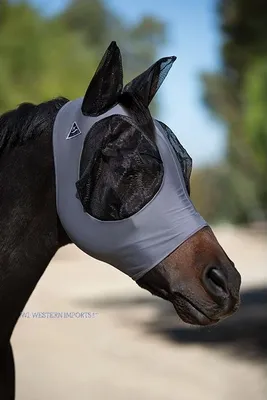 Produktbild von Professionals Choice Comfort Fit Flymask Fliegenmaske grau, Größe:L/Warmblutgröße