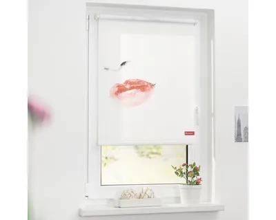 Obrázek produktu pro Lichtblick roleta Klemmfix, bez vrtání, neprůhledná, Face - White 70 x 150 cm (Š x D)
