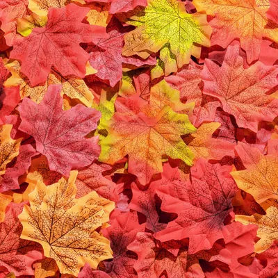Produktbild von Künstliche Herbstblätter – 400 Stück – Dekoration für Herbstlaub – Mehrfarbig