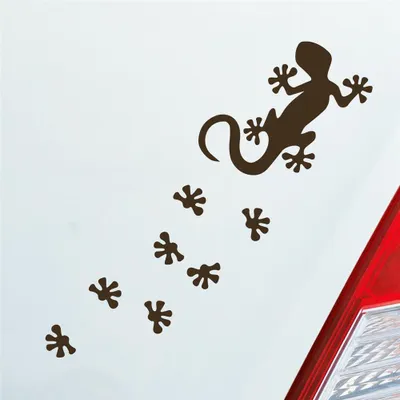 Produktbild von Auto Aufkleber Salamander Agame Echse Lizard Fußspuren 20x6 cm Braun Sticker Heckscheibenaufkleber