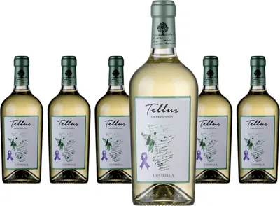 Produktbild von 6 x Cotarella - Famiglia Cotarella Tellus Chardonnay Bianco Lazio IGP