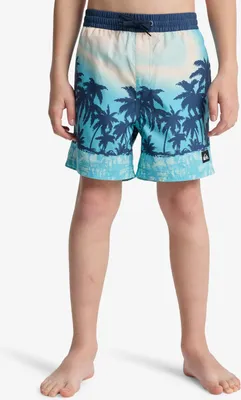 Produktbild von Quiksilver Everyday Printed Volley Yth 14 Aqua Thermotropics 12