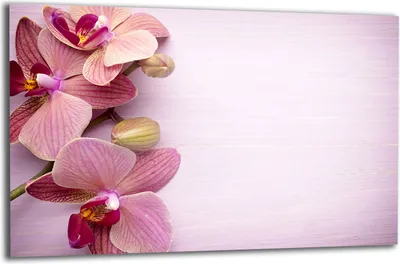 Produktbild von Herdabdeckplatte Glaskeramikkochfeld-Abdeckung Spritzschutz Glas 80x52 Blumen