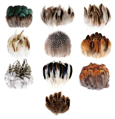 Produktbild von 300 Stück Bastelfedern, 10 Stile natürliche gemischte Deko für DIY Traumfänger, Ohrringe, Hüte, Masken, Ostern, Karneval, Halloween