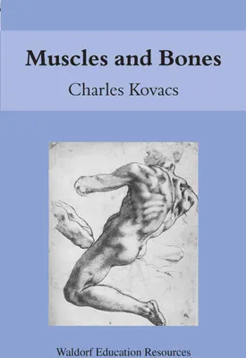 Produktbild von Muscles and Bones