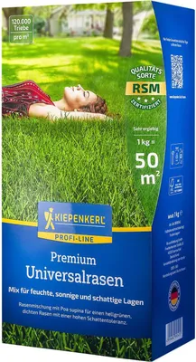 Produktbild von Kiepenkerl Premium Rasensamen Royal Supreme 1 kg