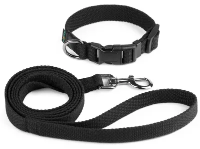 Image de Ensemble d'entraînement pour chiens, comprenant une laisse et un collier réglable