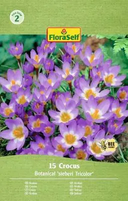 Obrázek produktu pro Krokusy FloraSelf 'Tricolor' 15 ks