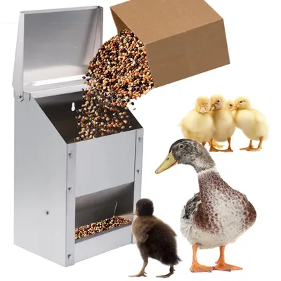 Hänge-Futterautomat 4,5 kg Edelstahl für Hühner
