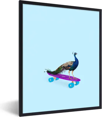 Produktbild von MuchoWow® Gerahmtes Poster Pfau - Blau - Skateboard - Tiere - Lustig 30x40 cm - Poster mit Schwarzem Bilderrahmen Wandposter Rahmen Foto Bilder - Wanddeko - Kunstdrucke