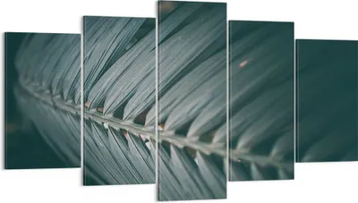 Produktbild von Bild auf Leinwand - Leinwandbild - 5 Teile - Blatt Palme exotisch - 160x85cm - Wand Bild - Wanddeko - Wandbilder - Leinwanddruck - Bilder - Wanddekoration - Leinwand bilder - Wandbild - EA160x85-4907