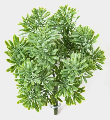 Produktbild von artplants.de Deko Crossostephium KARAHNI auf Steckstab, grün, 20cm - Grünpflanze künstlich