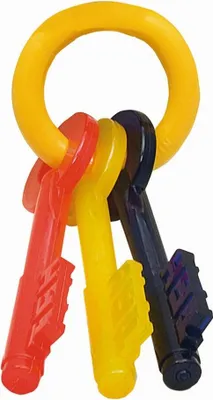 Obrázek produktu pro Kousací kroužek pro psy Nylabone Key Bacon velikost L Nylon
