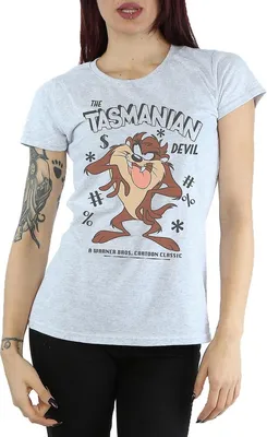 Produktbild von Looney Tunes - T-Shirt für Damen BI1450 (XXL) (Grau)