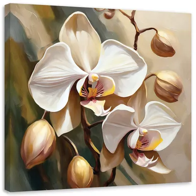 Produktbild von Leinwandbild Orchidee gemalt beige 60x60 Feeby Gold bild für die wand bereit zum aufhängen
