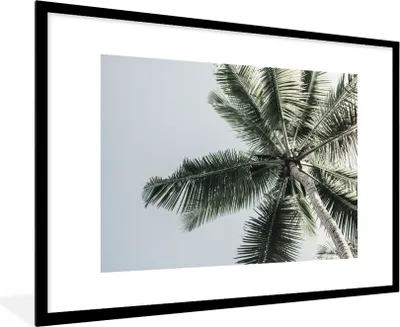 Produktbild von MuchoWow® Gerahmtes Poster Palme - Tropisch - Sommer 90x60 cm - Poster mit Schwarzem Bilderrahmen Wandposter Rahmen Foto Bilder - Wanddekoration - Fotos