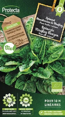 Productafbeelding van Protecta Groente zaden: Spinazie Viroflay Reuzen Biologisch