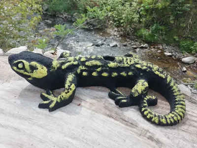 Klettergriff in Form eines Salamanders; schwarz-gelb; auf einem Holzstück neben einem Fluss.
