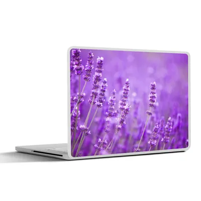 Produktbild von MuchoWow® Laptop Aufkleber Sticker Cover Lavendel - Nahaufnahme - Blumen - Lila 25x18 cm - Laptop-Deko