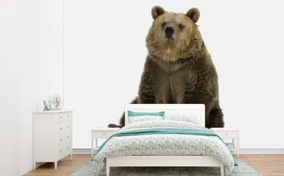 Produktbild von MuchoWow® Fototapete für Wohnzimmer oder Schlafzimmer Wandtapete Vinyl Motivtapete Bär - Tiere - Weiß - Jungen - Mädchen - Kind - 305x220 cm - Kindertapete - Wandbilder