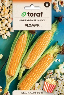 Zdjęcie produktu dla Kukurydza pękająca PŁOMYK nasiona 20g Toraf 110