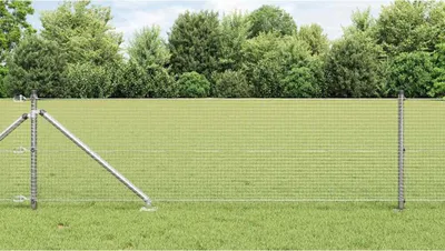 Immagine prodotto di Recinzione in rete saldata con punte 50 x 0,5 m (L x H)