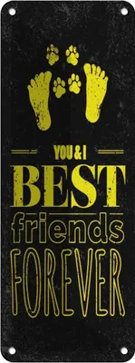 Produktbild von vianmo Blechschild 27x10 cm Freunde You I best friends forever