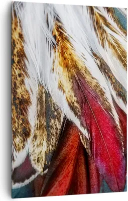 Produktbild von Bild auf Leinwand - Leinwandbild - Einteilig - Federn Federn Vogel - 80x120cm - Wand Bild - Wanddeko - Wandbilder - Leinwanddruck - Wanddekoration - Leinwand bilder - Wandbild - PA80x120-3743