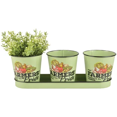 Produktbild von Esschert Design Farmers' Pride 3er Topfset auf Tray; FP008