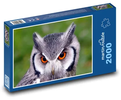 Obrázek produktu pro Puzzle 2000 Sova s oranžovýma očima - martinpuzzle