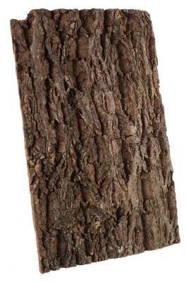 Image de Solidchoice - Substrat réaliste pour terrariums et reptiles, idéal pour les tortues