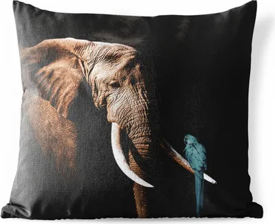 Produktbild von MuchoWow® Outdoor Kissen - Elefant - Papagei - Zähne - 45x45 cm - Wetterfest - Lounge Kissen - Fotokissen - Dekoratives Kissen