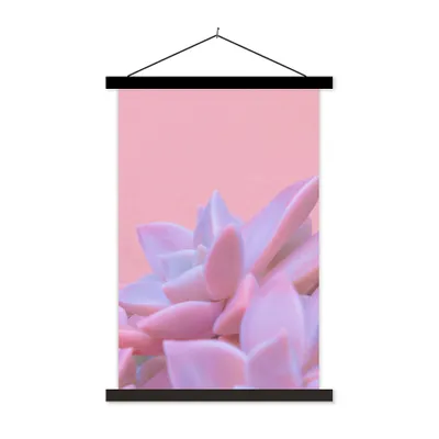 Produktbild von MuchoWow® Textilposter Sukkulente - Sommer - Rosa - Pflanzen 120x180 cm mit schwarzem Rahmen - Fotos
